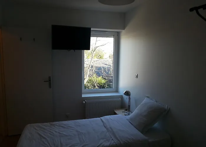 Hotel Bull'it 2*